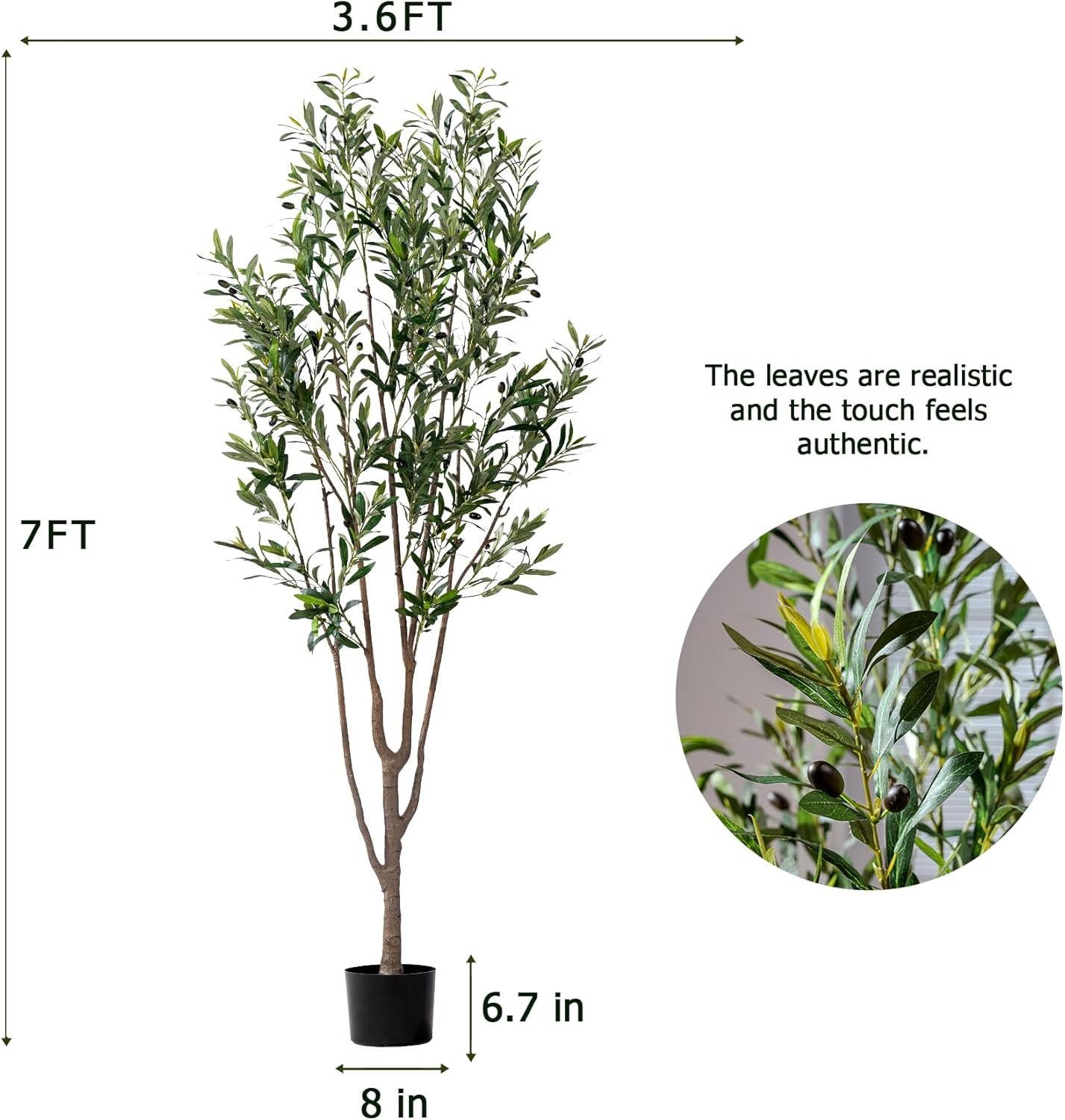 71xfwLDpdYL._AC_SL1500_